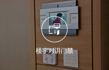 樓宇對講門禁